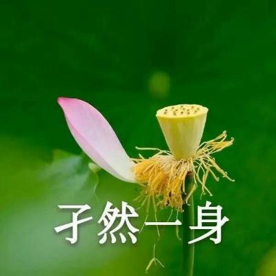 老	师头像成熟稳重西装